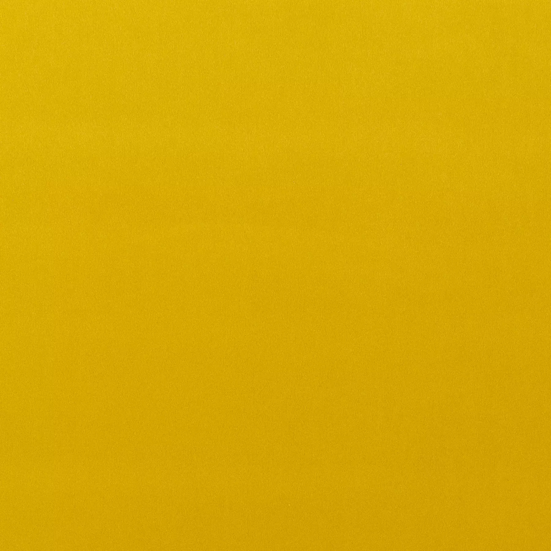 The Only - CH3234/041