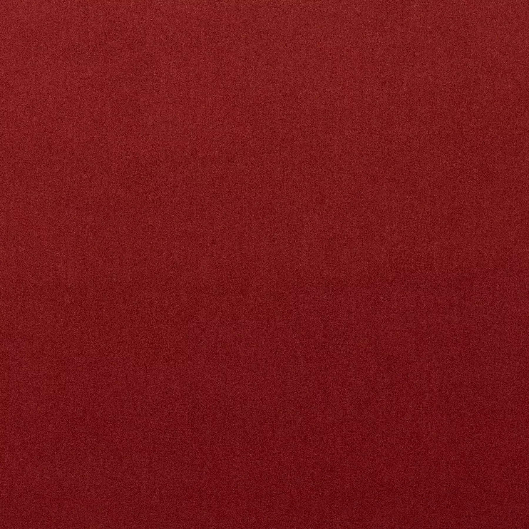 The Only - CH3234/062