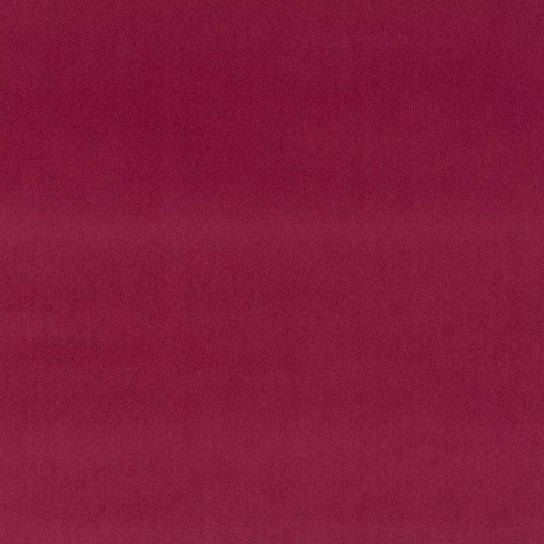 The Only - CH3234/081