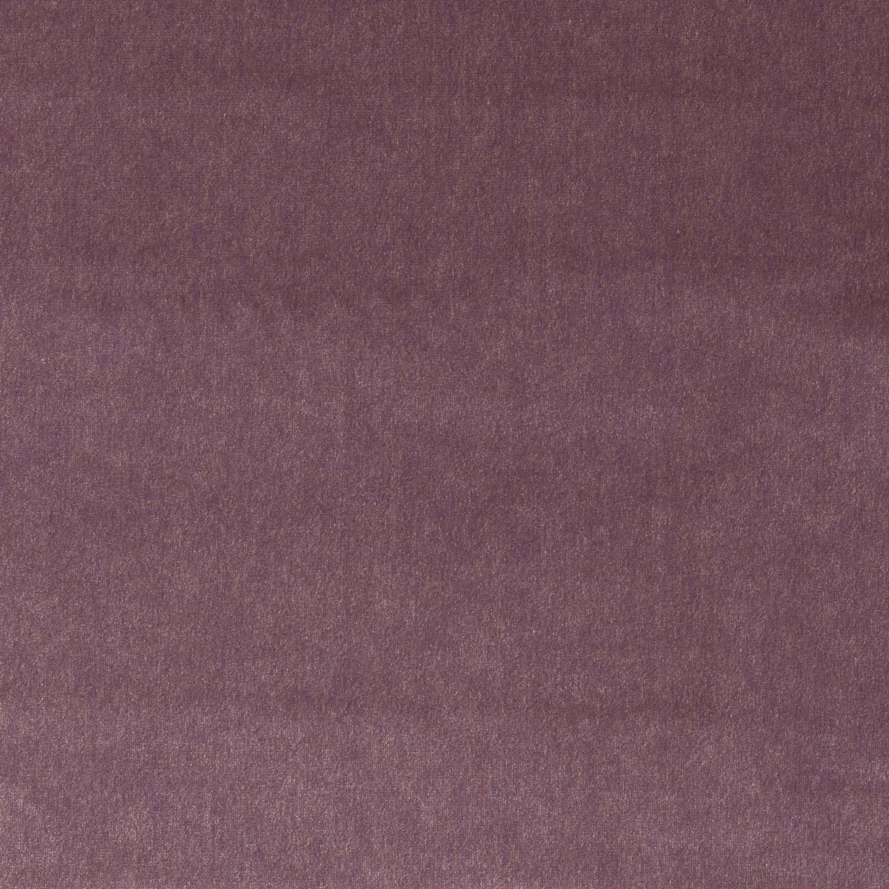 View Opaque Velvet - CA1805/080 Opaque Velvet - CA1805/080