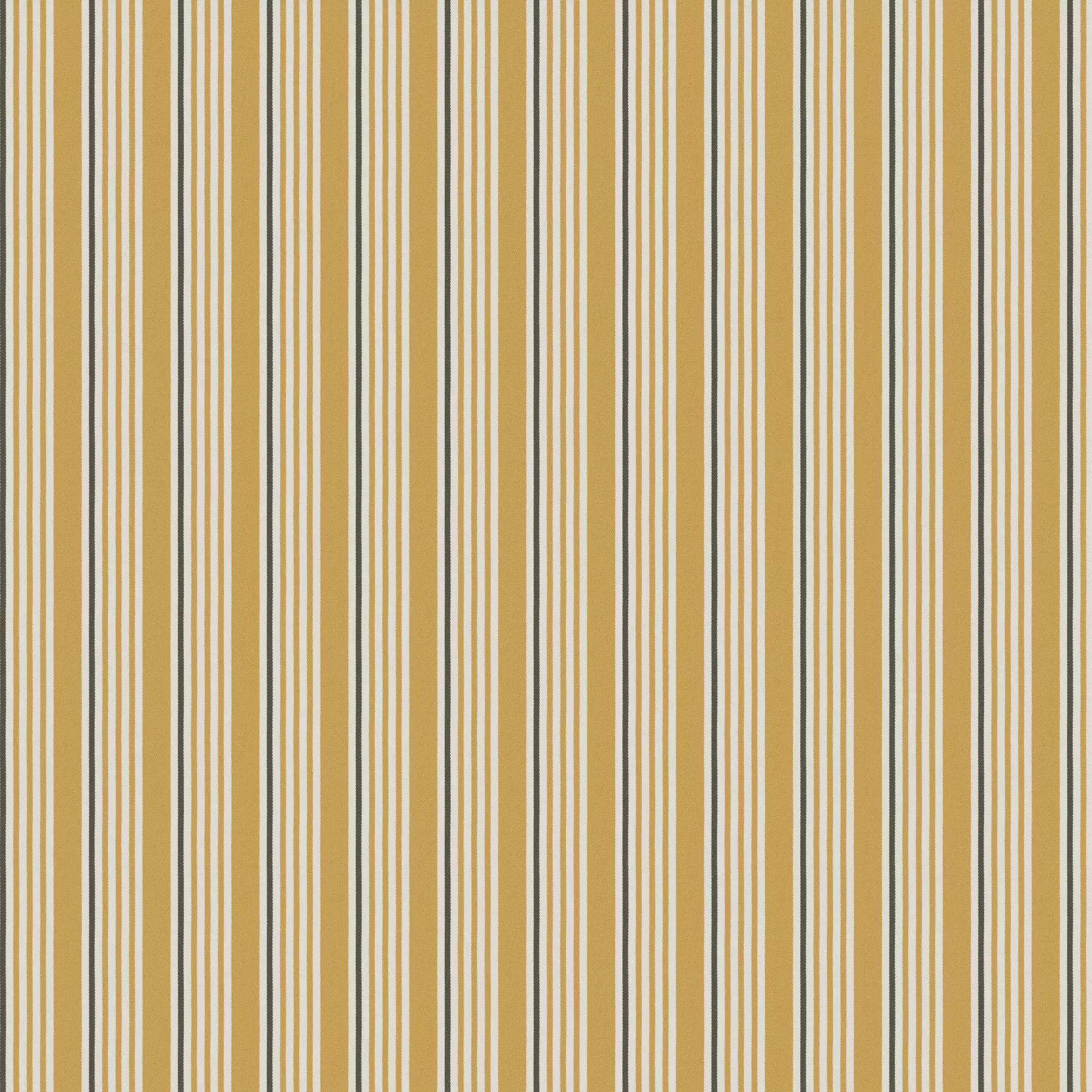 View Magic Stripe | Ja2085-041 Magic Stripe | Ja2085-041