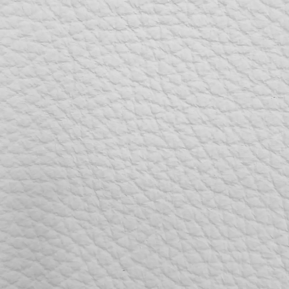 View Bison | White Bison | White