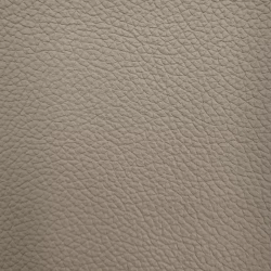 Grain - CAMEL