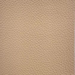 Grain - CHAMPAGNE