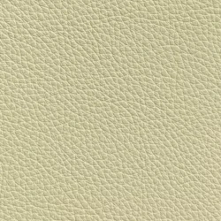 Pasadena - Aesthetic White