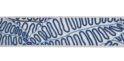 32053 Paloma Braid 97mm - 32053.9600