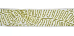 32053 Paloma Braid 97mm - 32053.9600
