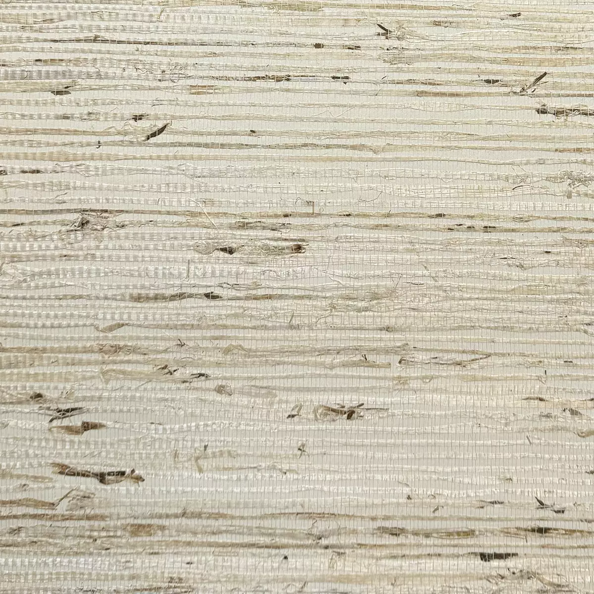 Orchard Grass - CA8292/070