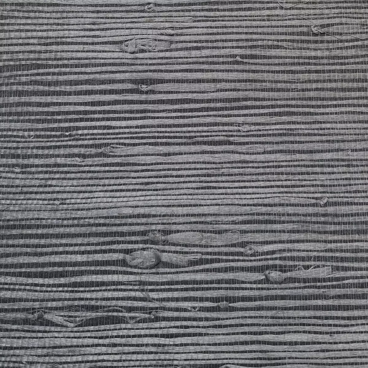 Orchard Grass - CA8292/091