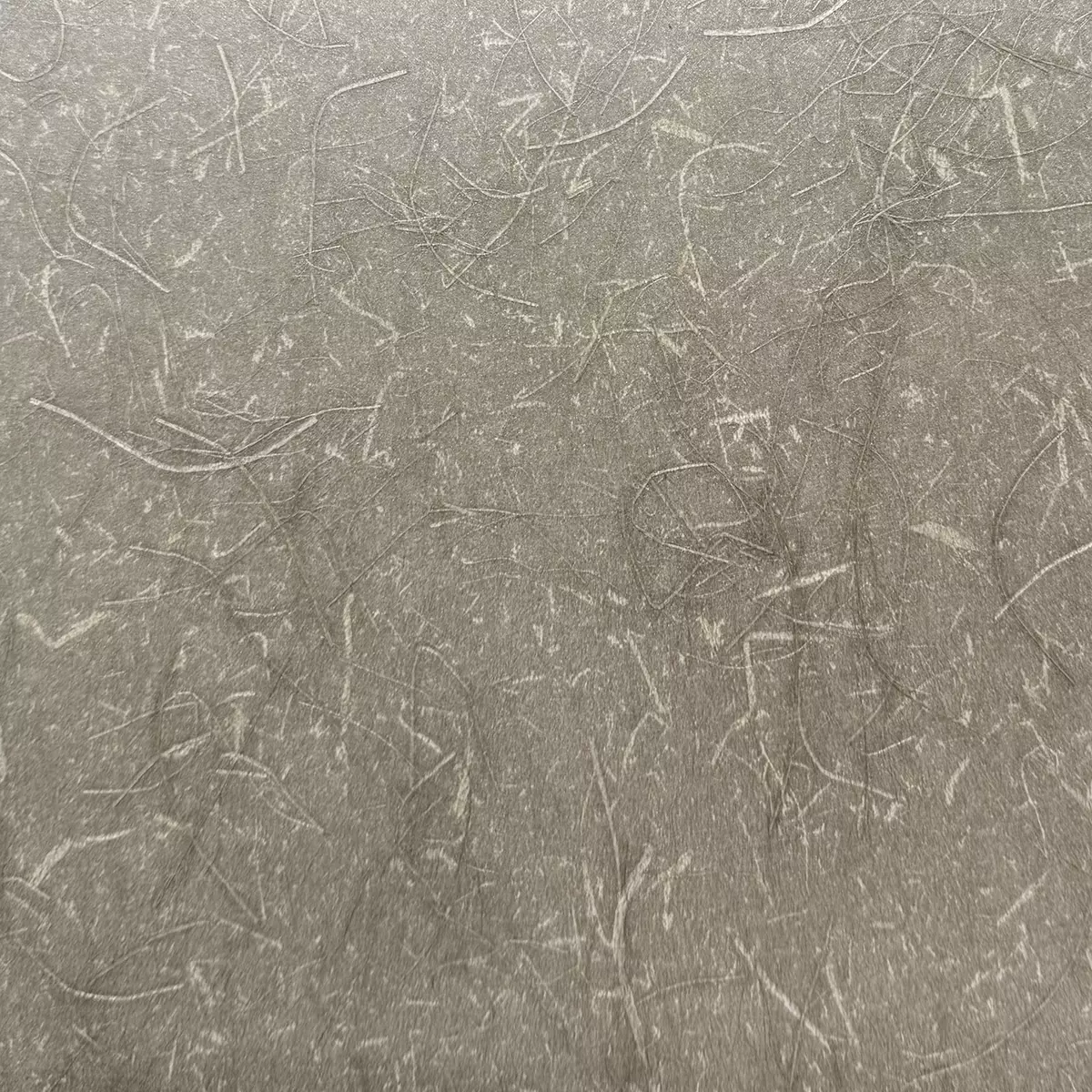 Rice Grass - CA8297/020