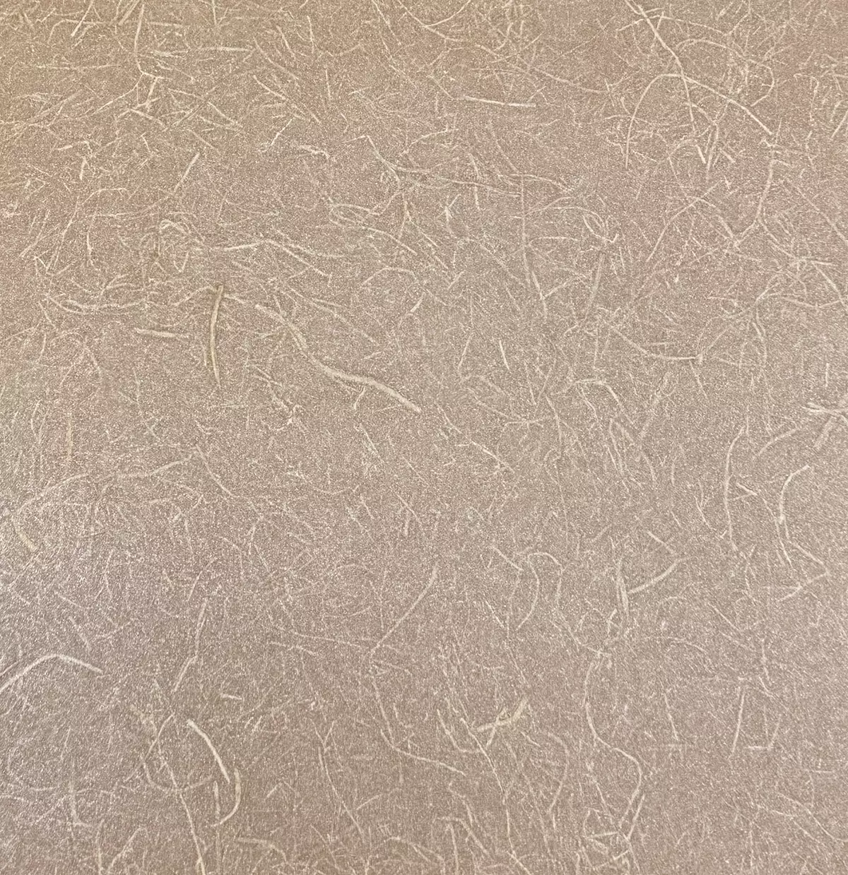 Rice Grass - CA8297/021