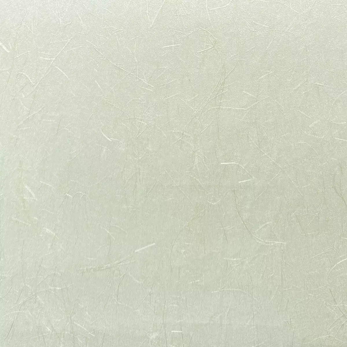 Rice Grass - CA8297/030