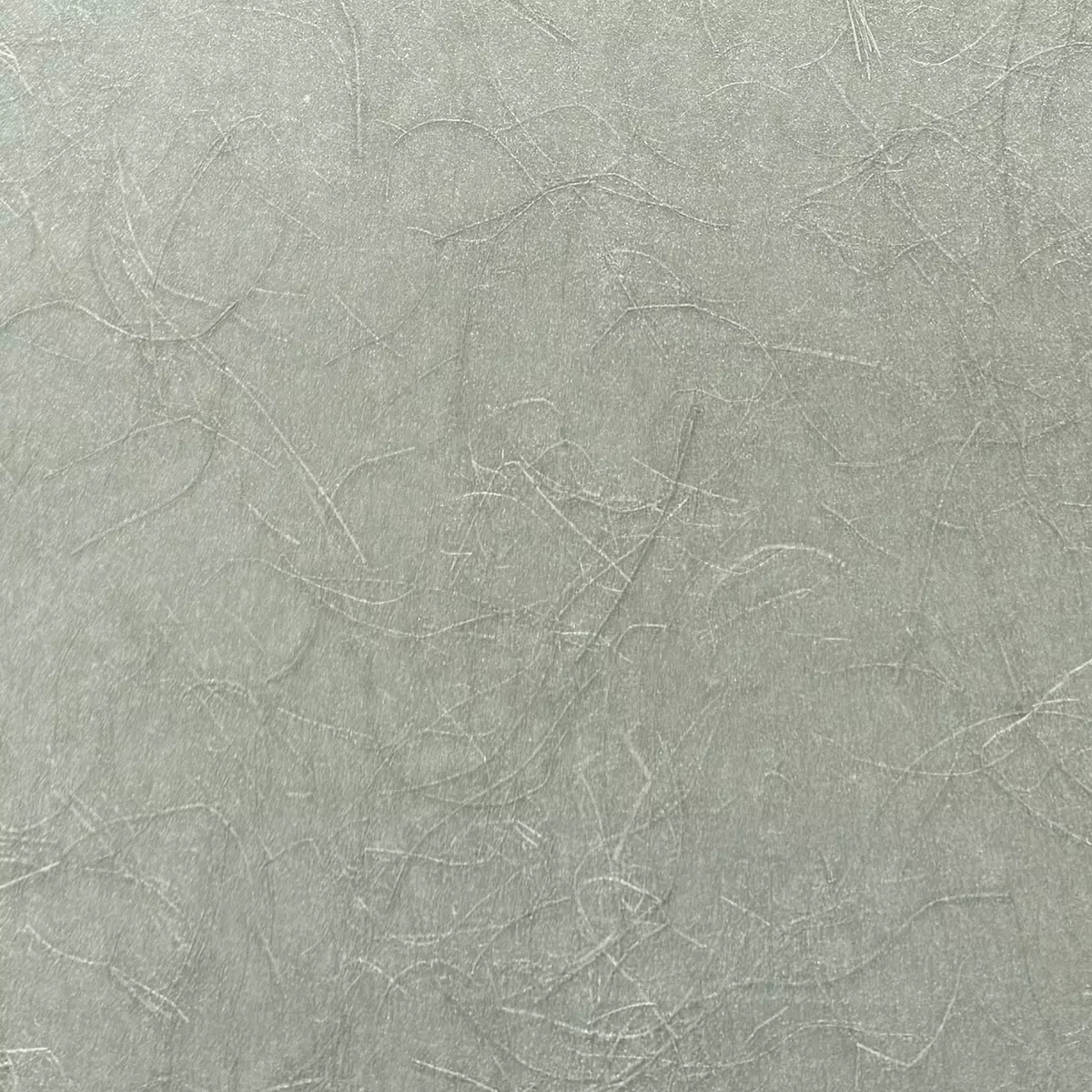 Rice Grass - CA8297/031