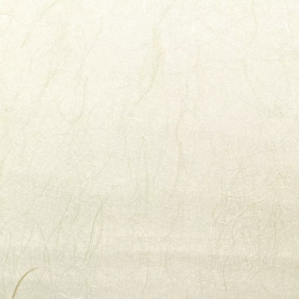 Rice Grass - CA8297/041