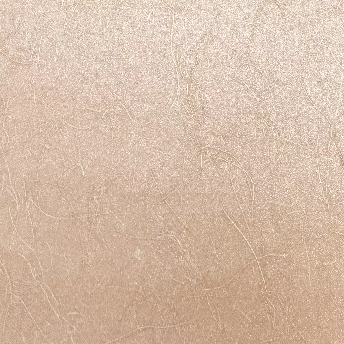 Rice Grass - CA8297/060