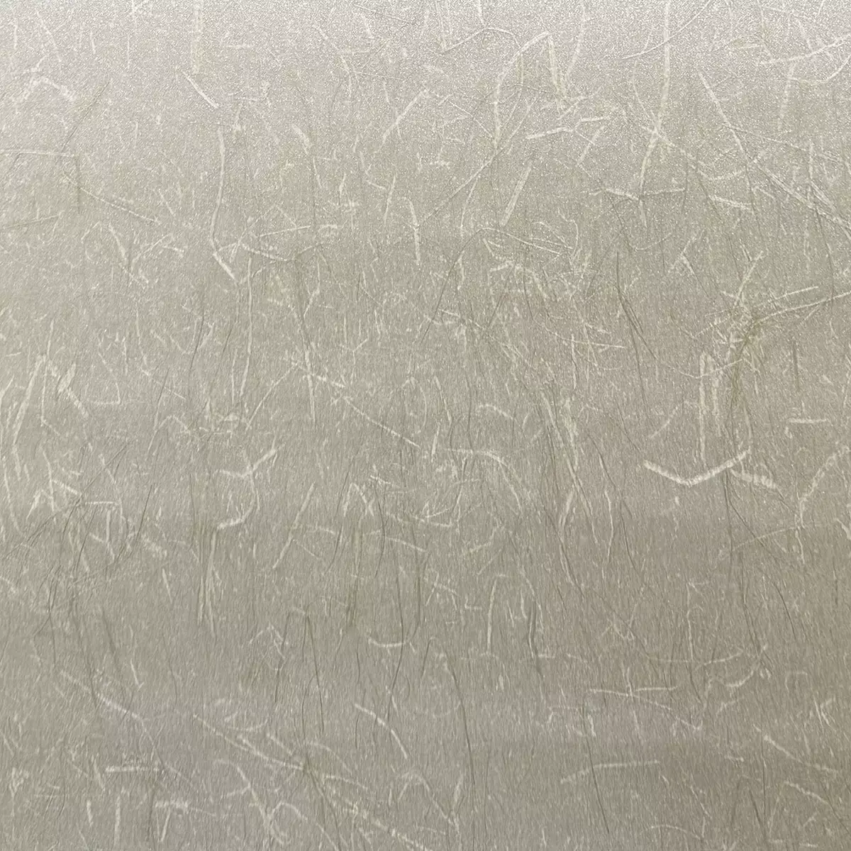 Rice Grass - CA8297/072