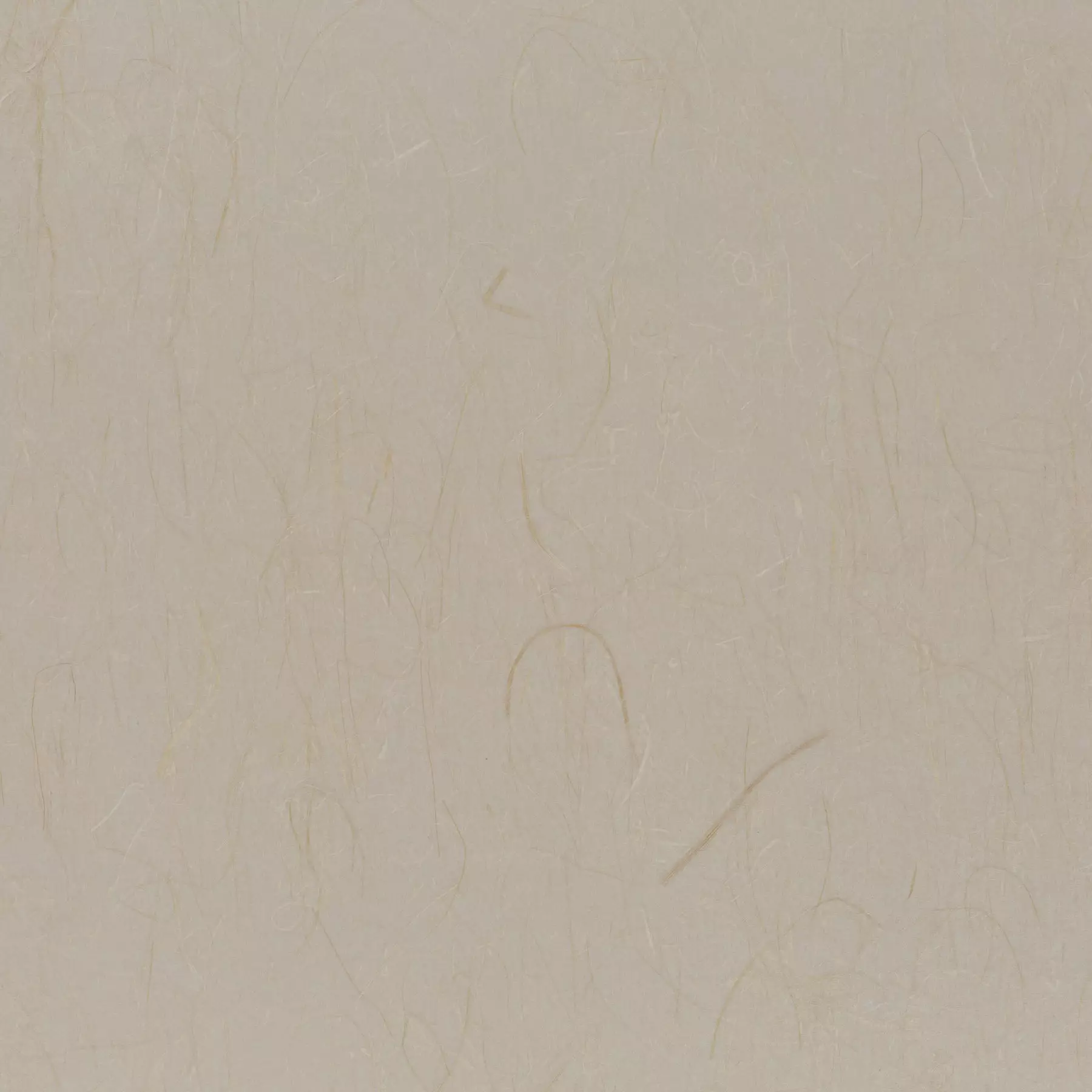 Rice Grass - CA8297/074