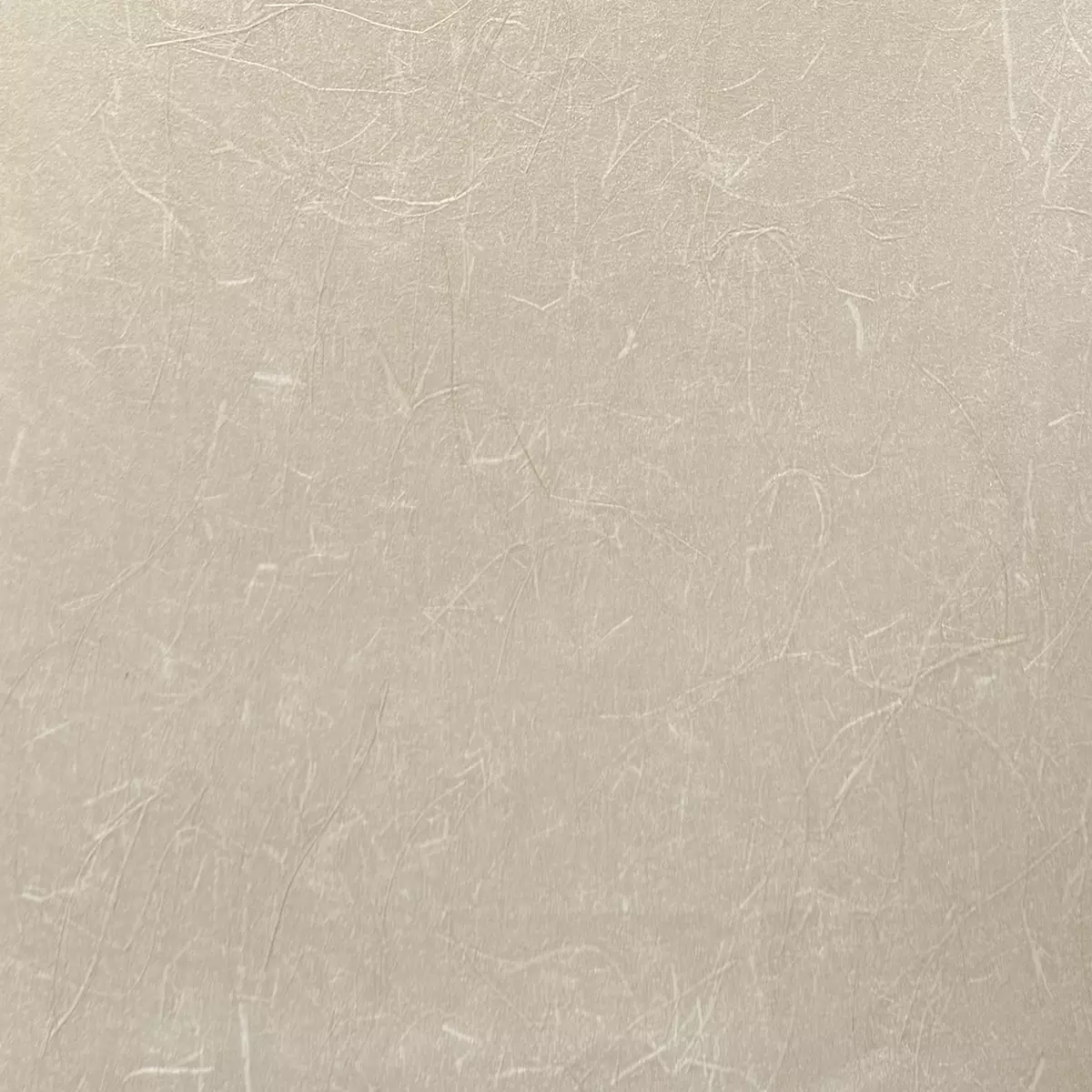 Rice Grass - CA8297/073