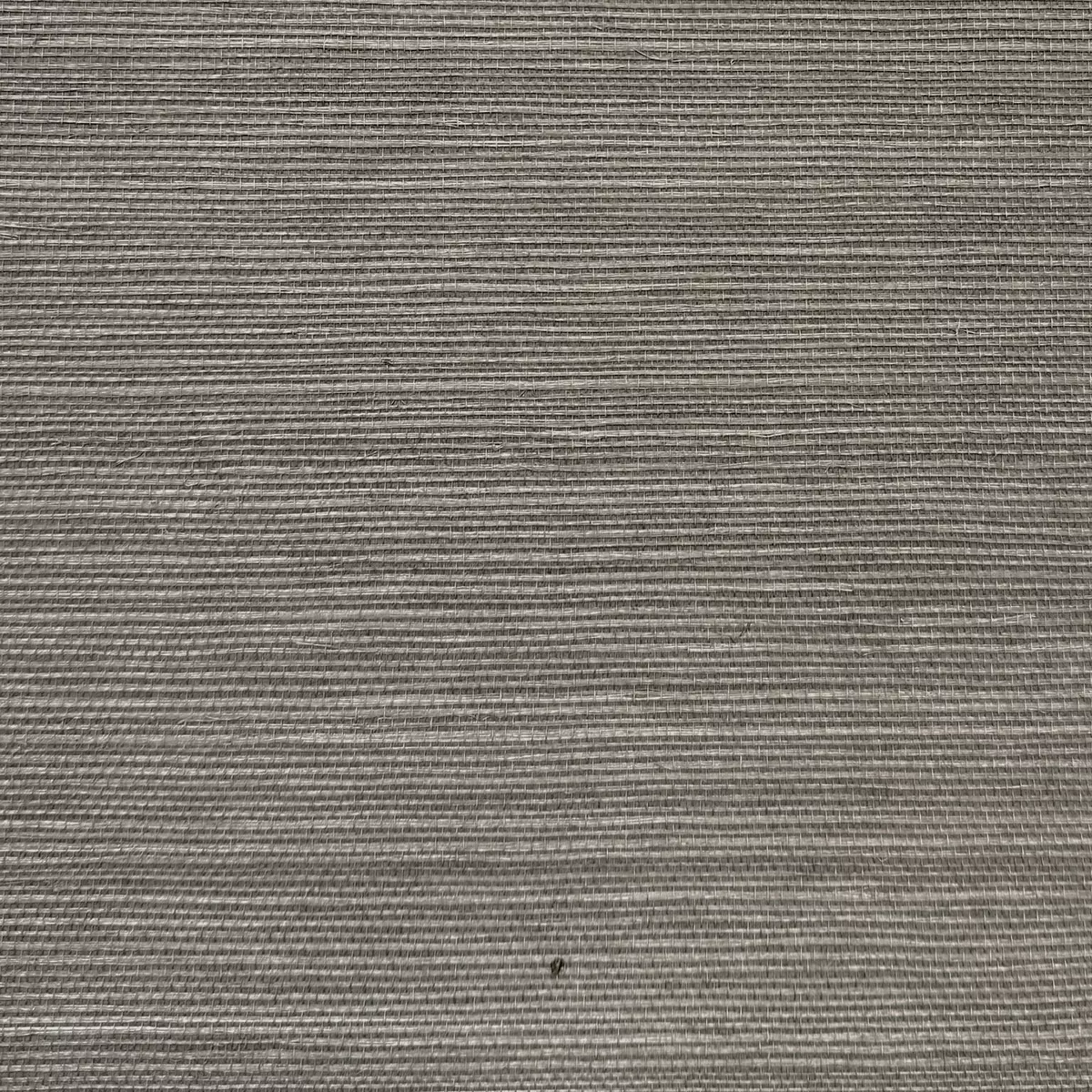 Salt Grass - CA8287/021