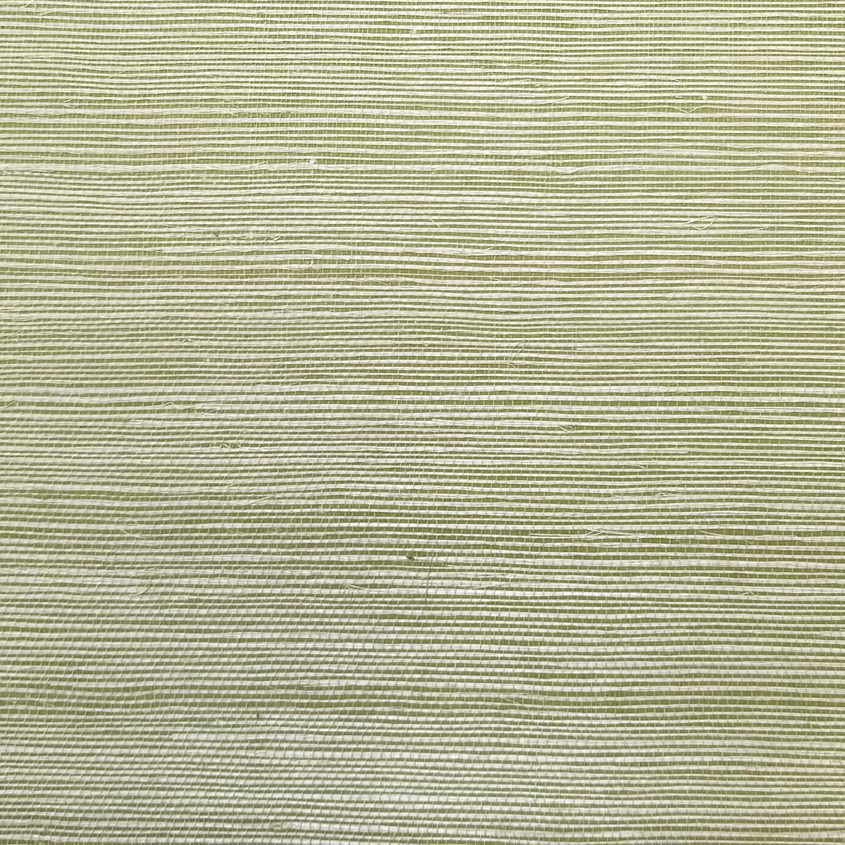 Salt Grass - CA8287/030