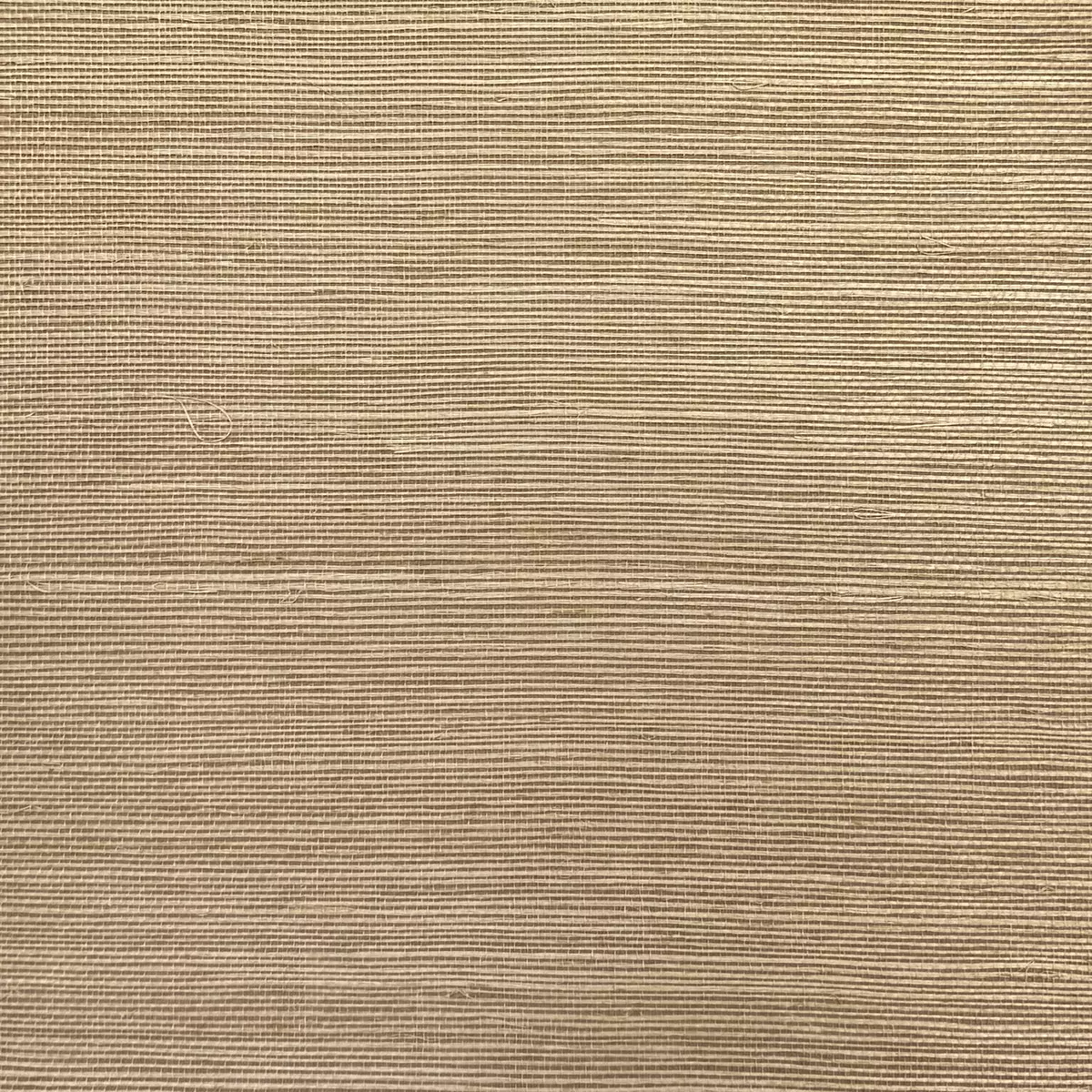 Salt Grass - CA8287/040