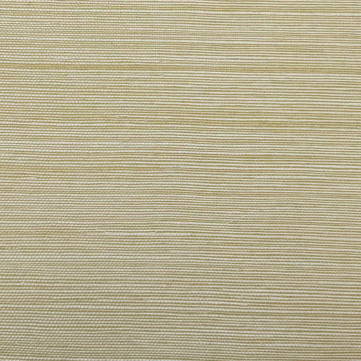 Salt Grass - CA8287/041
