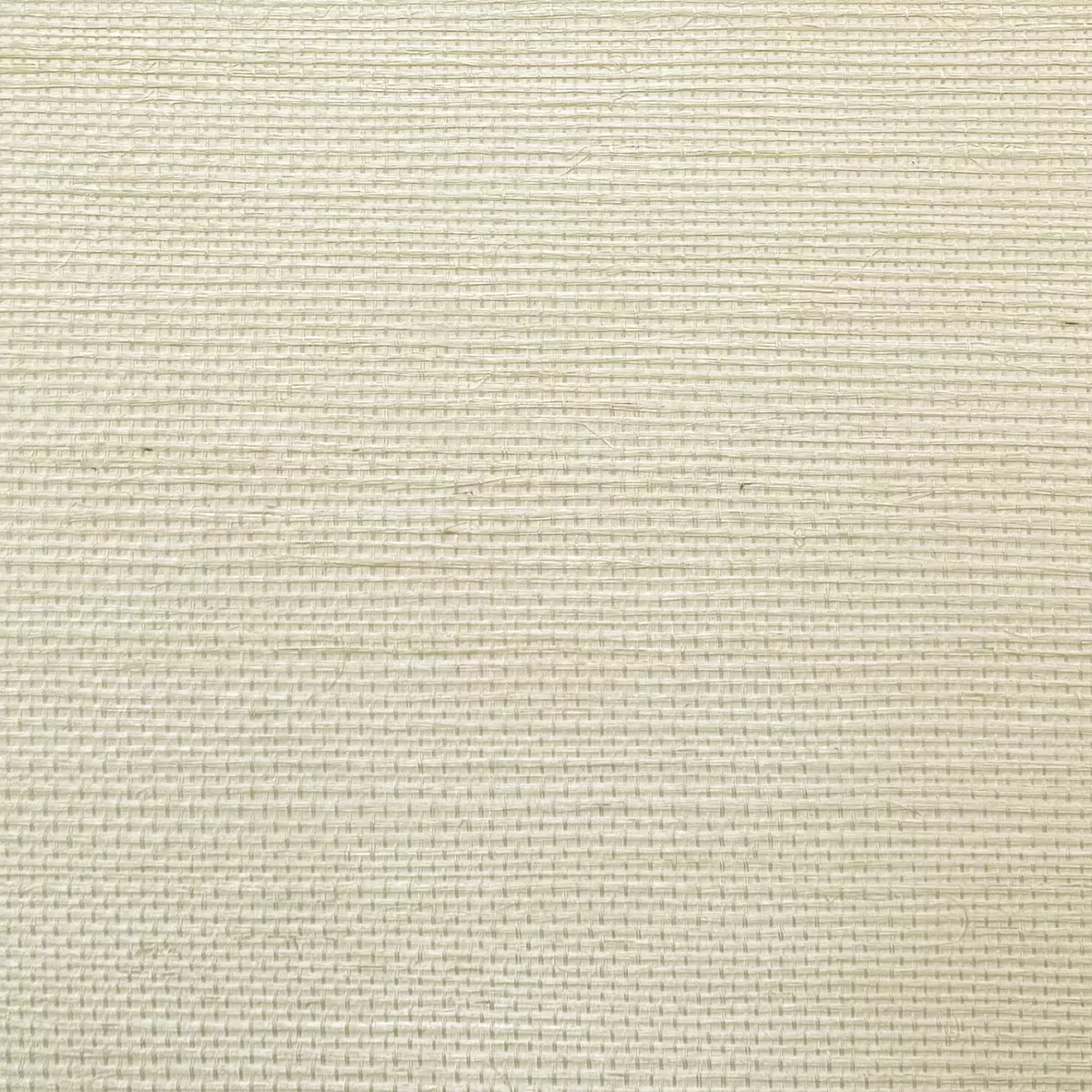 Salt Grass - CA8287/070