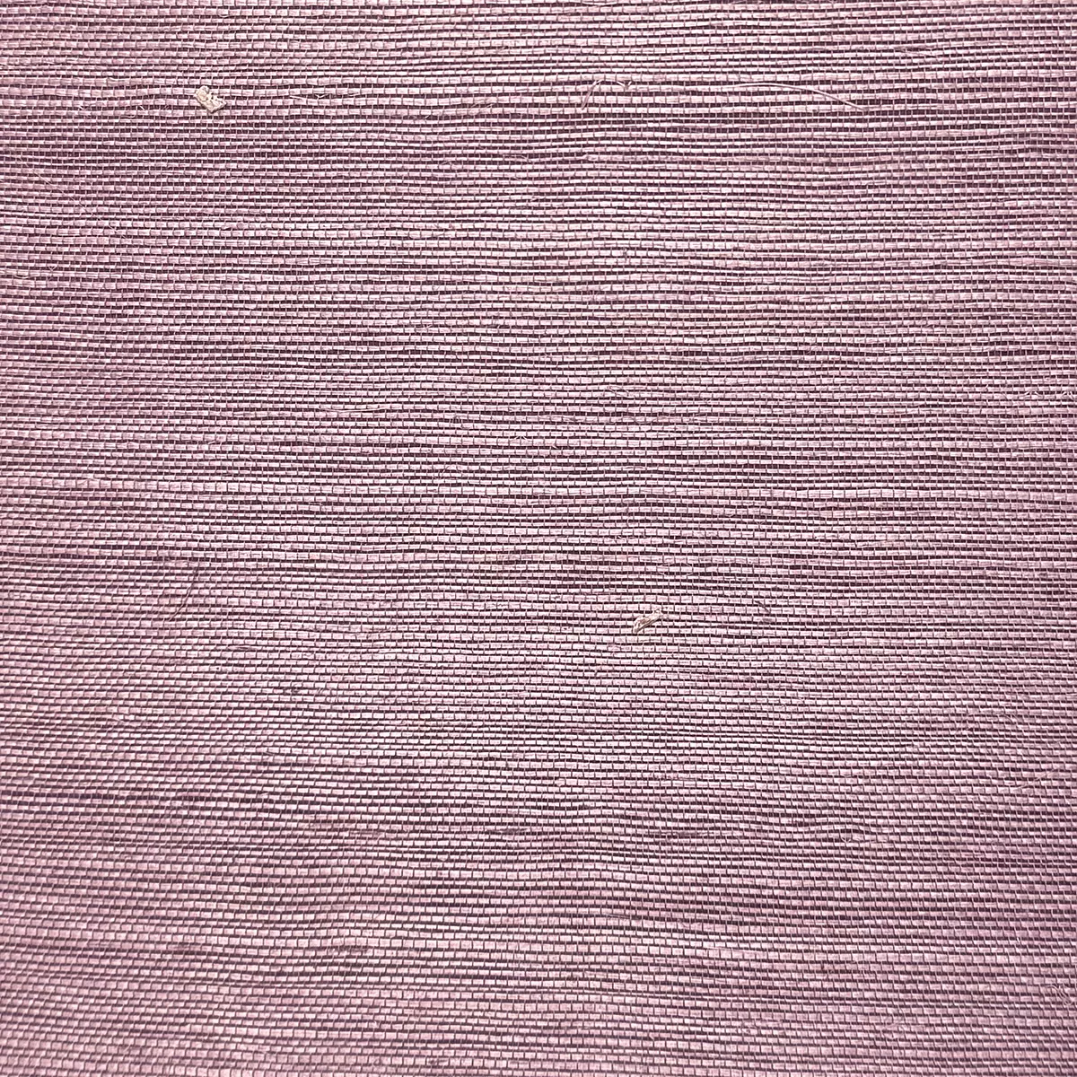 Salt Grass - CA8287/081