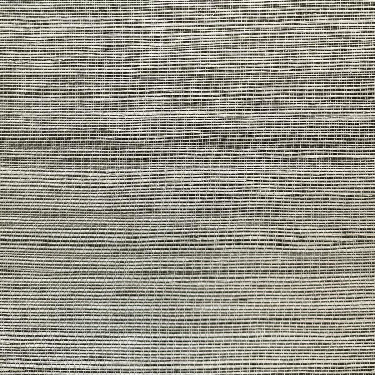 Salt Grass - CA8287/091