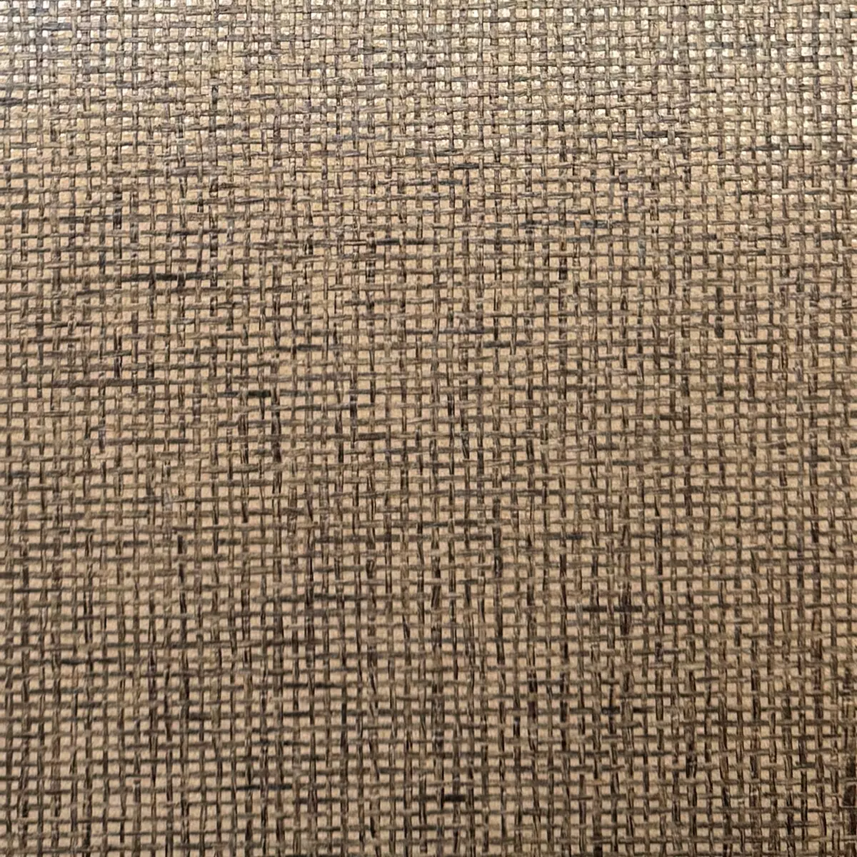 Moor Grass - CA8298/020