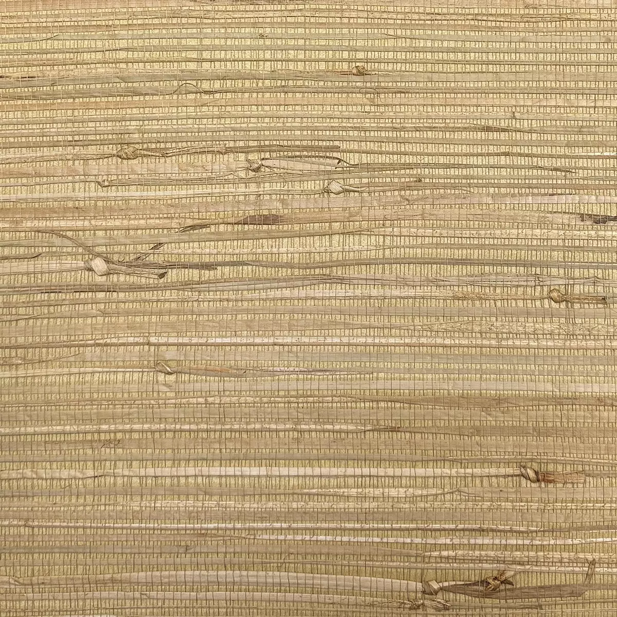 Alpine Grass - CA8290/040