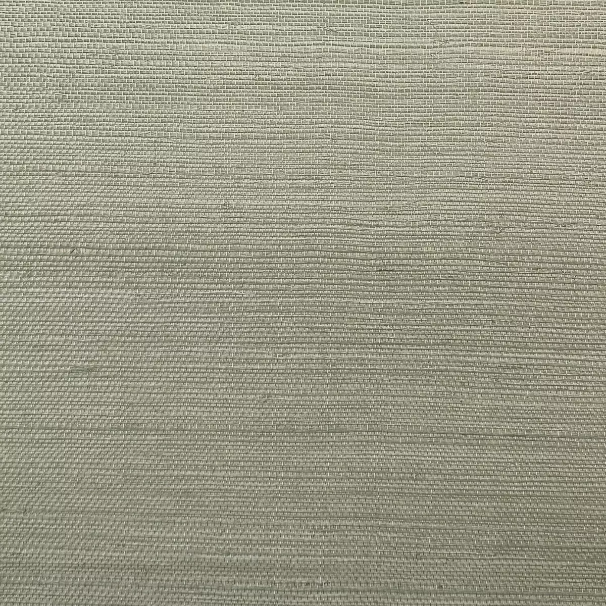 Bermuda Grass - CA8286/030