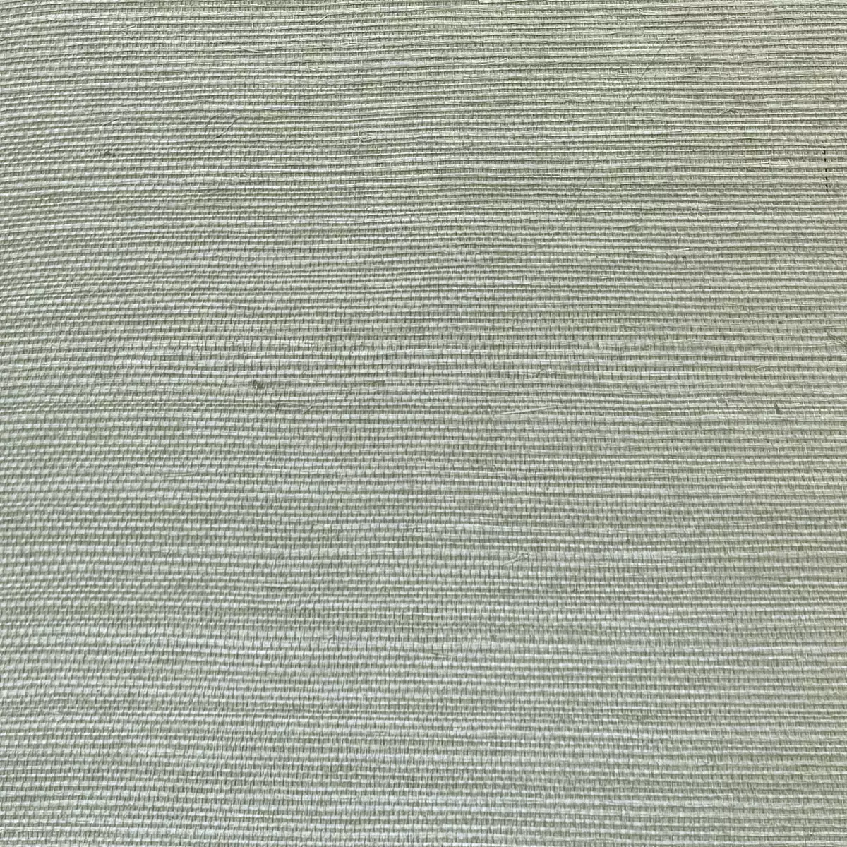 Bermuda Grass - CA8286/031