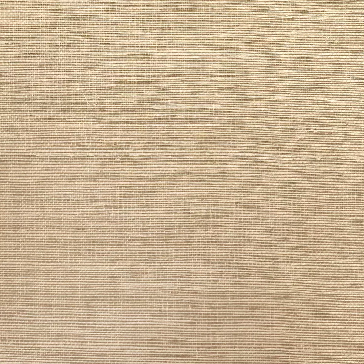 Bermuda Grass - CA8286/060