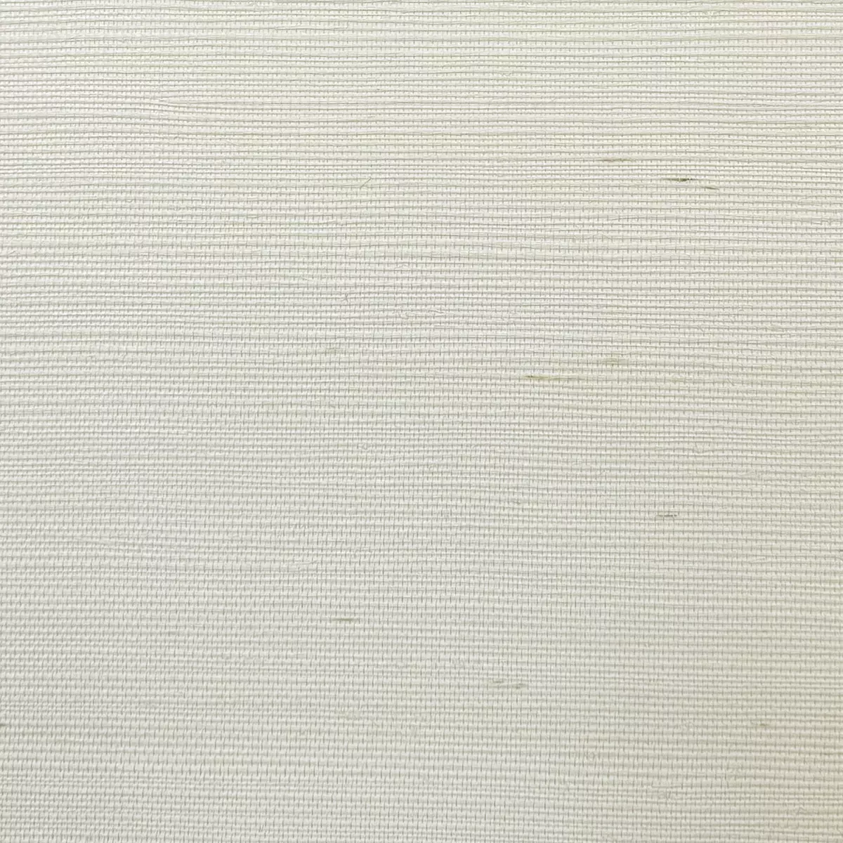 Bermuda Grass - CA8286/070