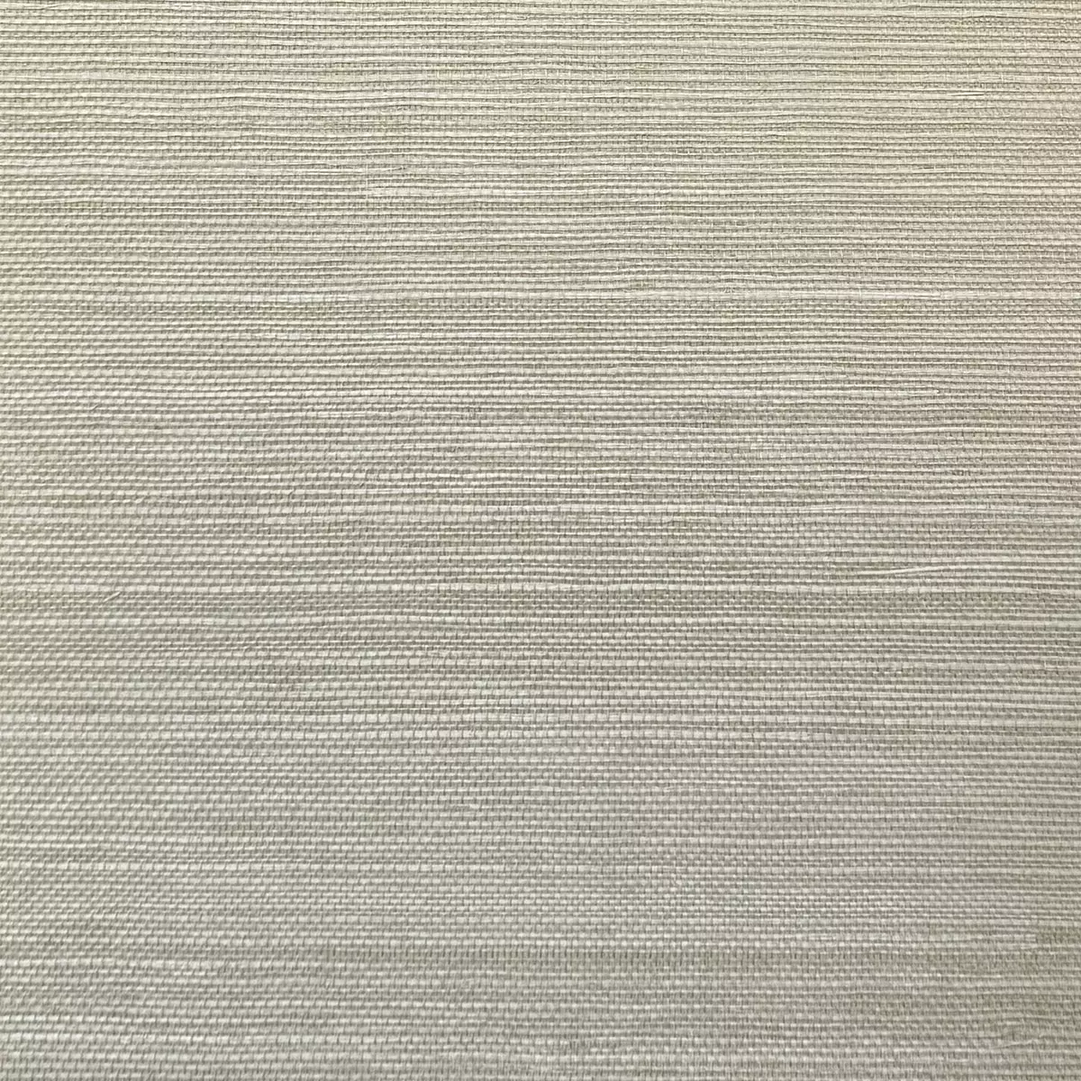 Bermuda Grass - CA8286/071