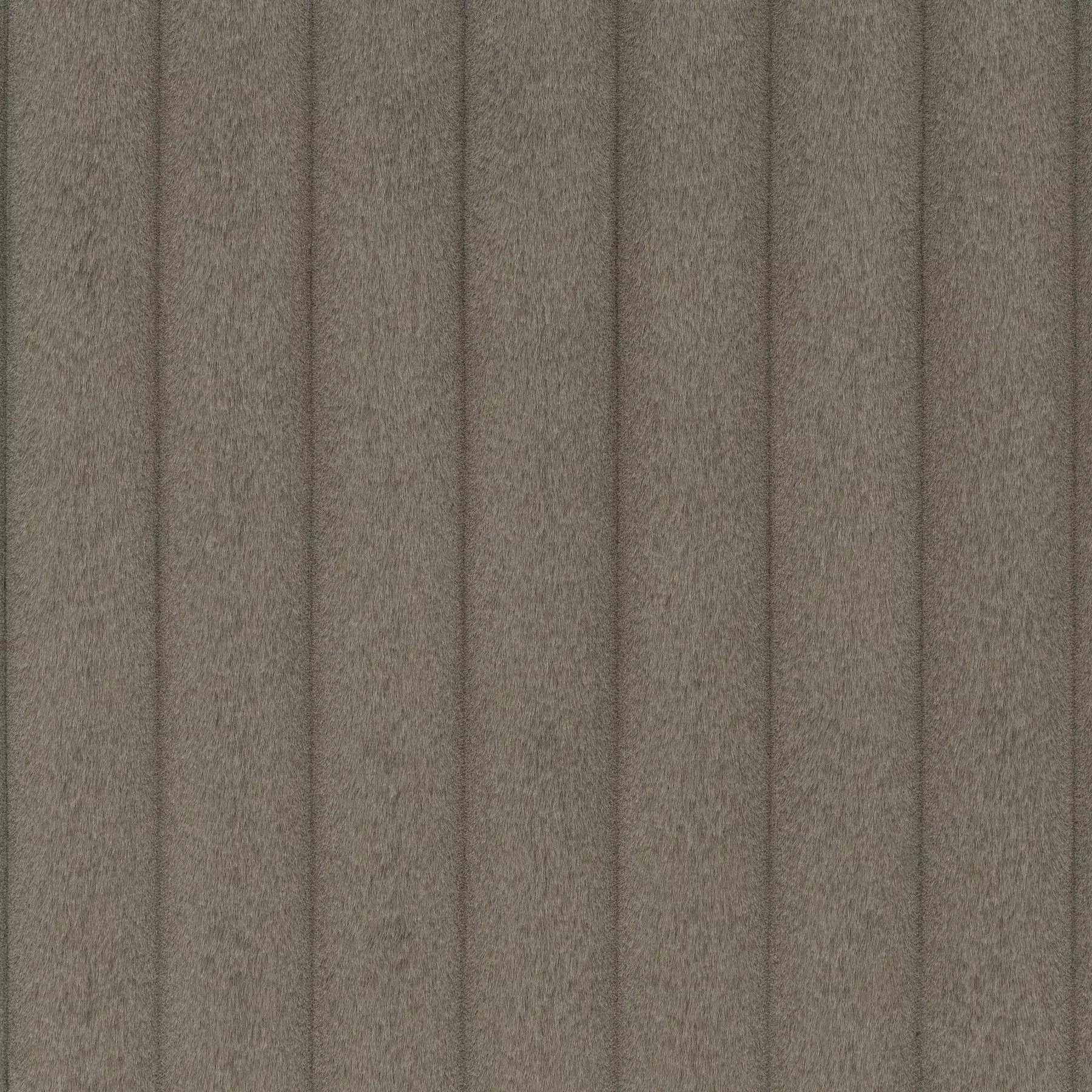 Soft Embrace - Ca1832/021