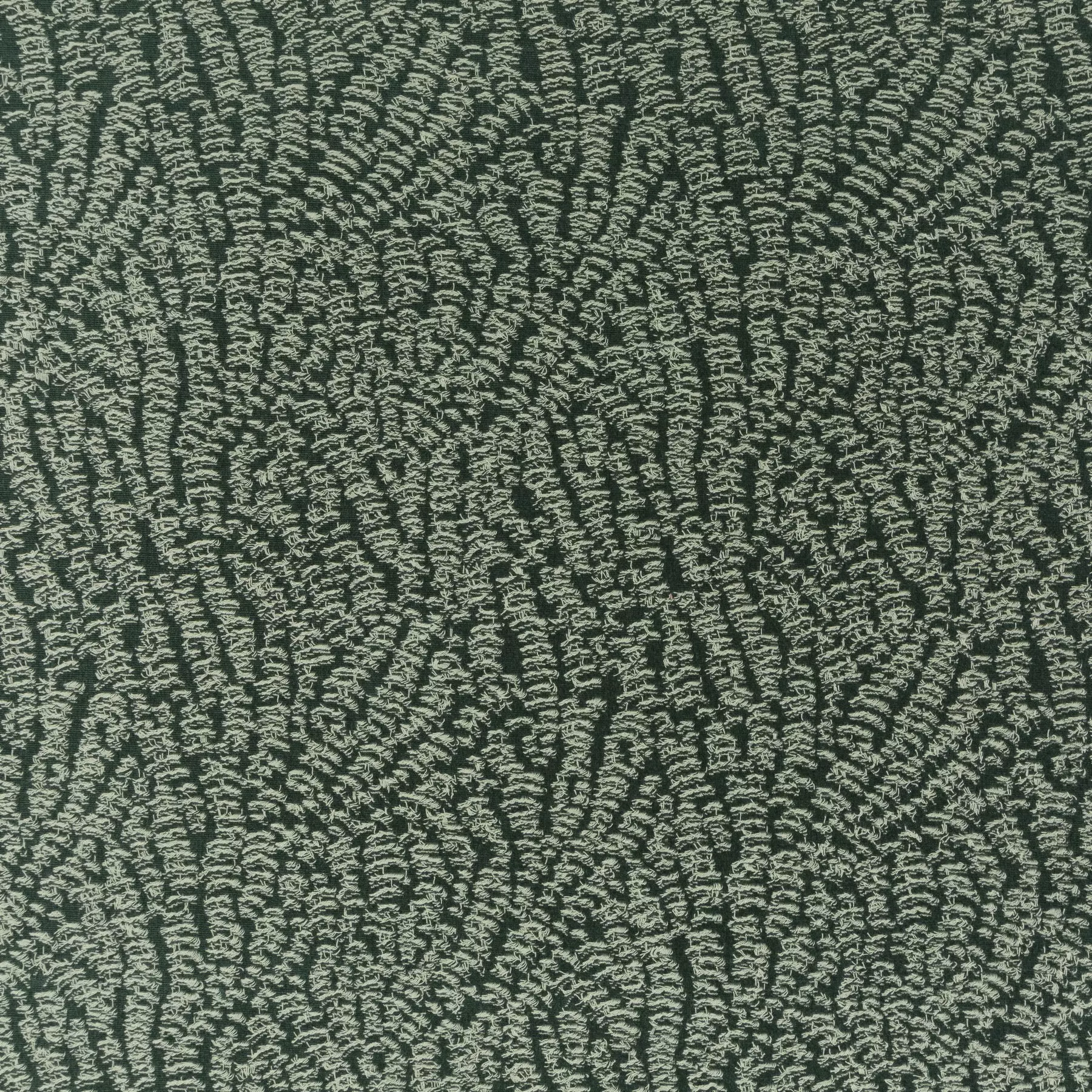 Skylight - Ca1843/031