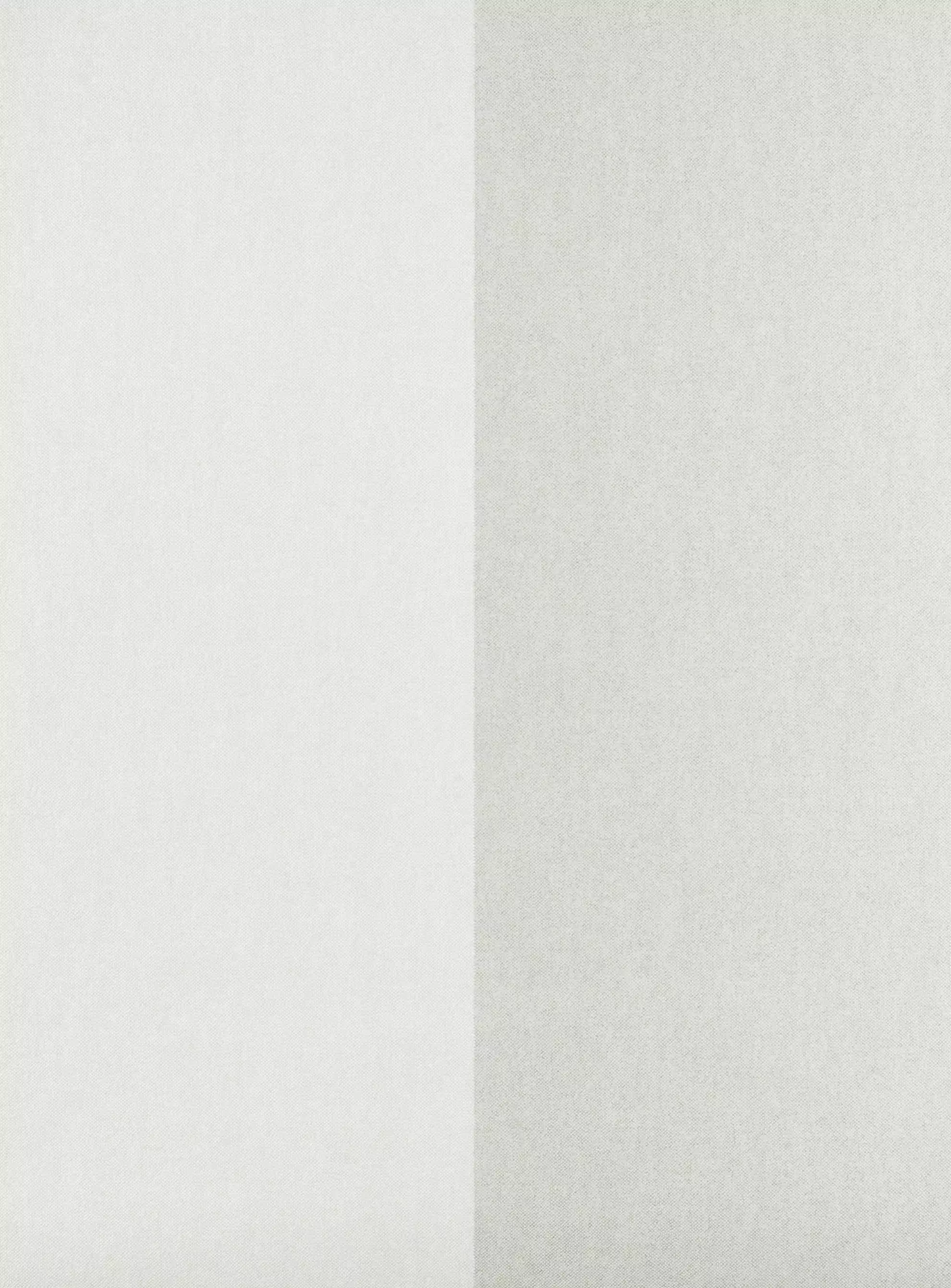 View Flamant S2 30000-30009 - 30002 Flamant S2 30000-30009 - 30002