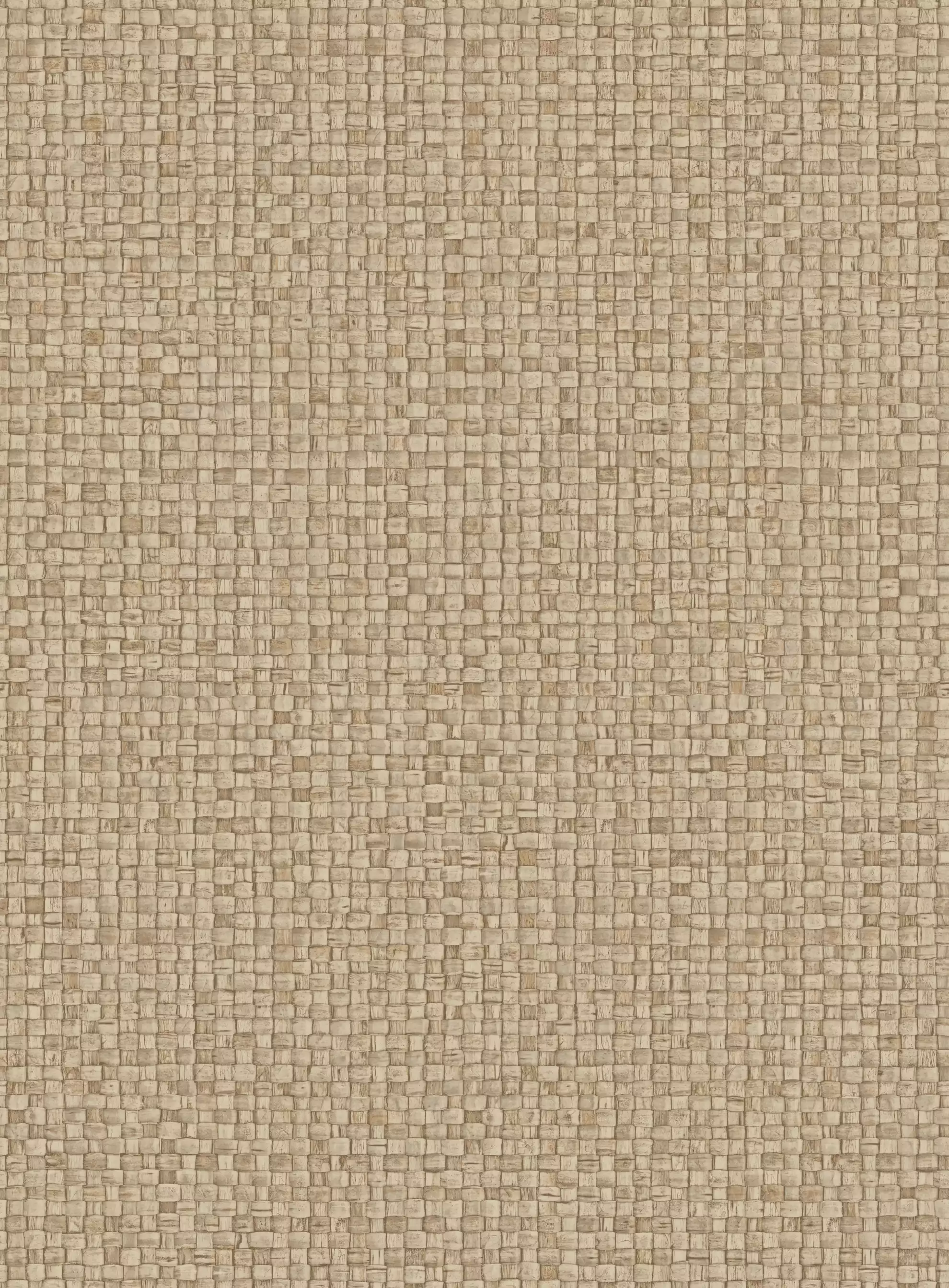 Puna 81541a-81549a - 81541a