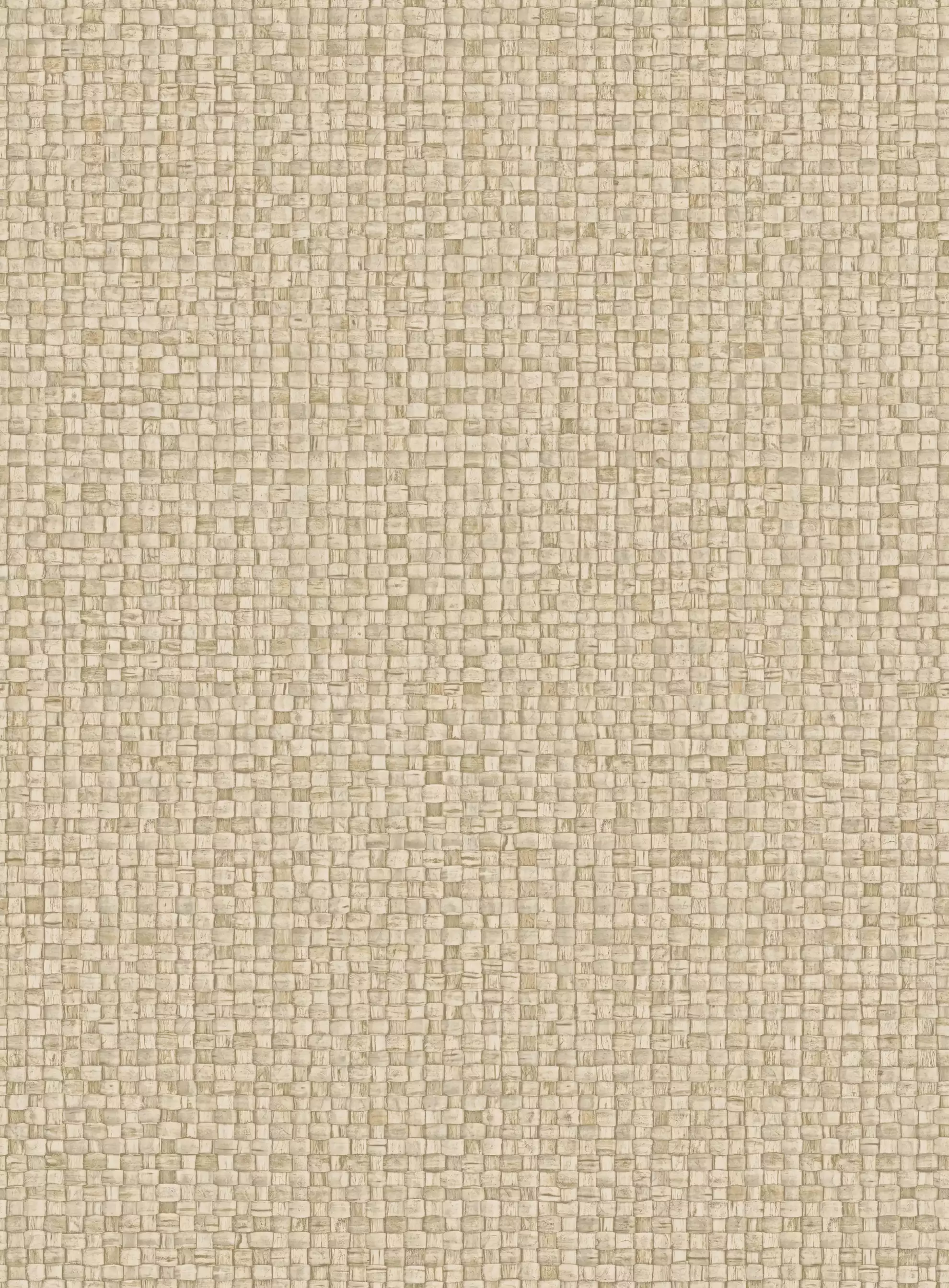 Puna 81541a-81549a - 81545a