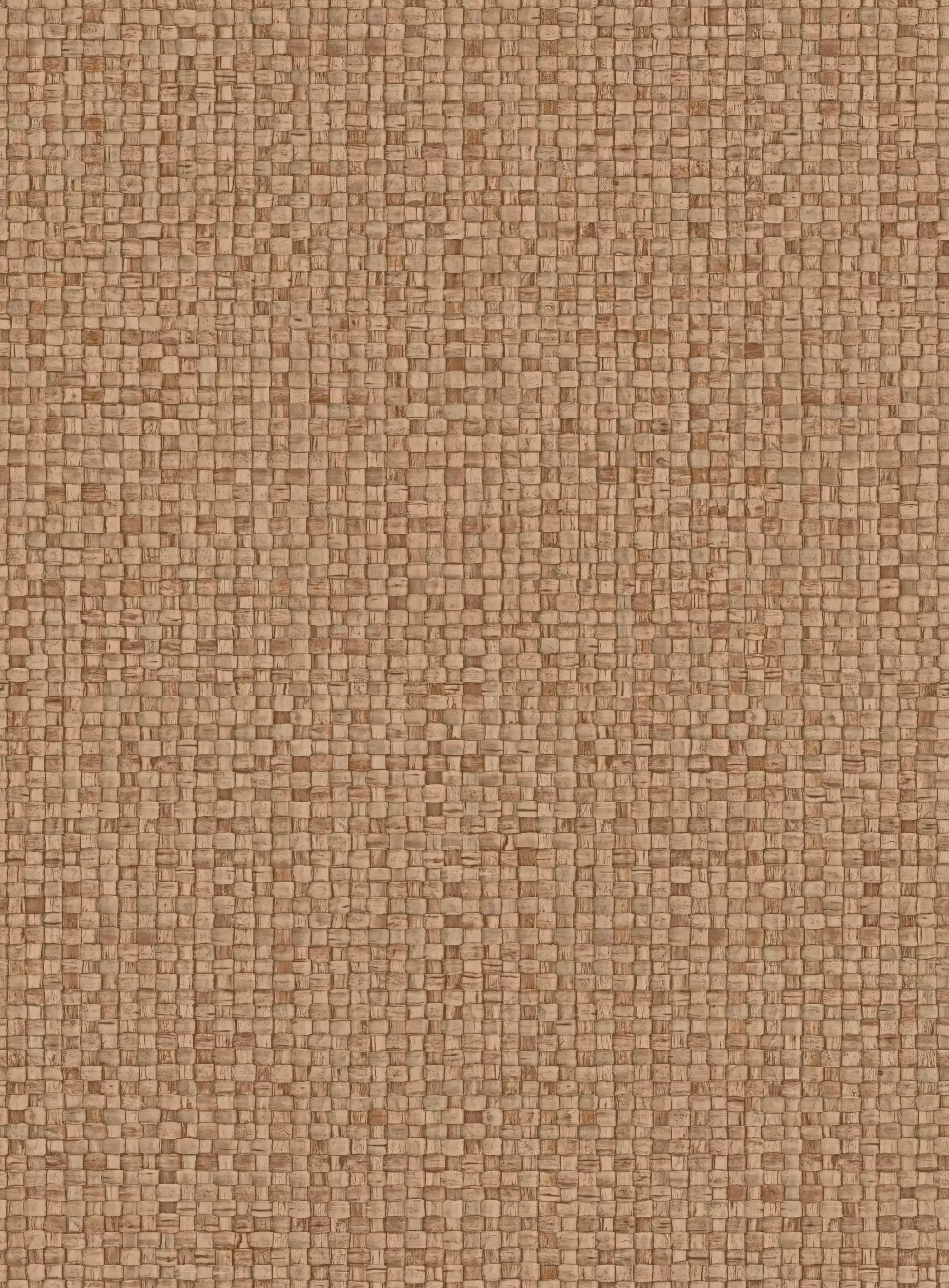 Puna 81541a-81549a - 81549a