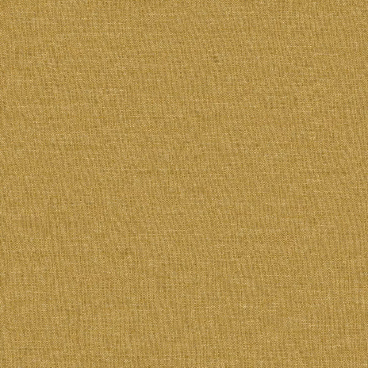 Resort Fr - 11030.114