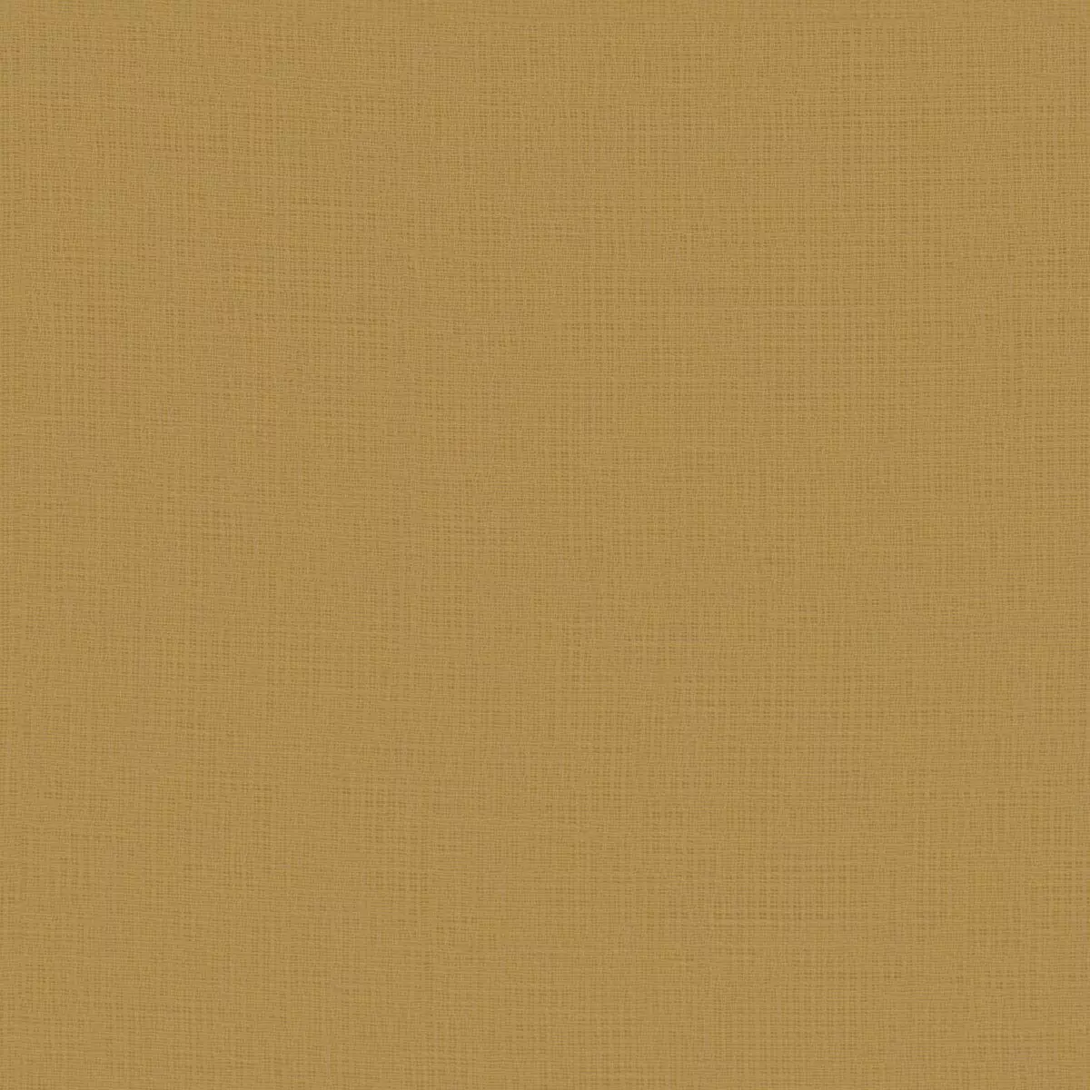 Daydream Fr Re - 11034.125