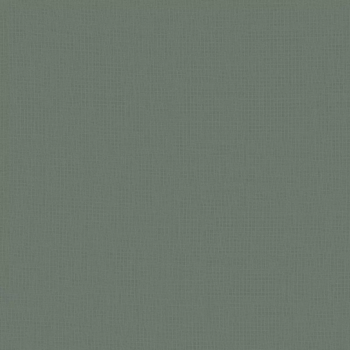 Daydream Fr Re - 11034.676