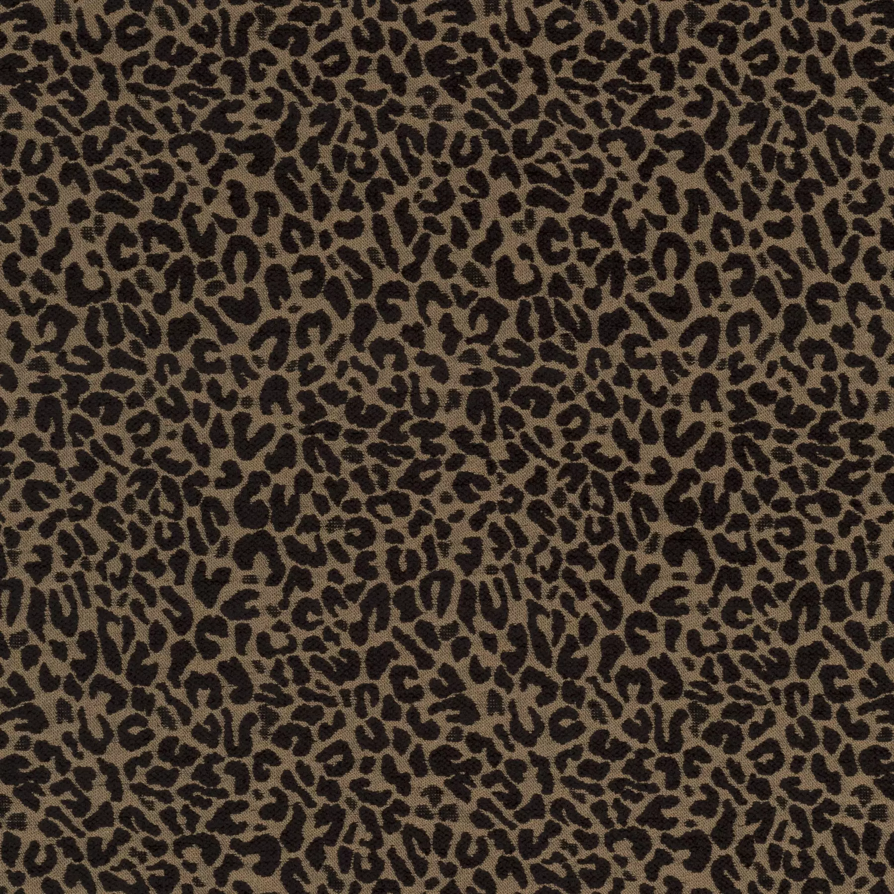 Cheetah - Ja2128/020