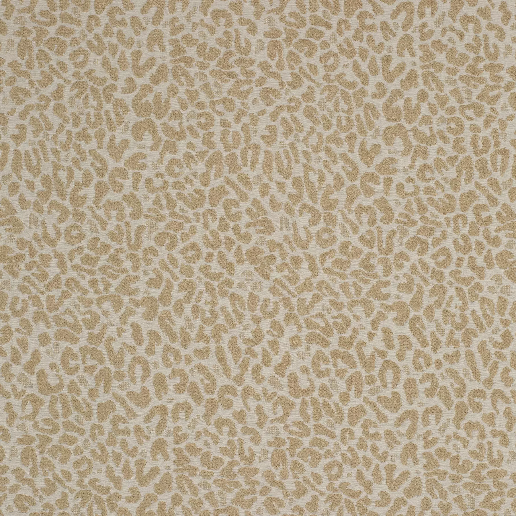 Cheetah - Ja2128/040