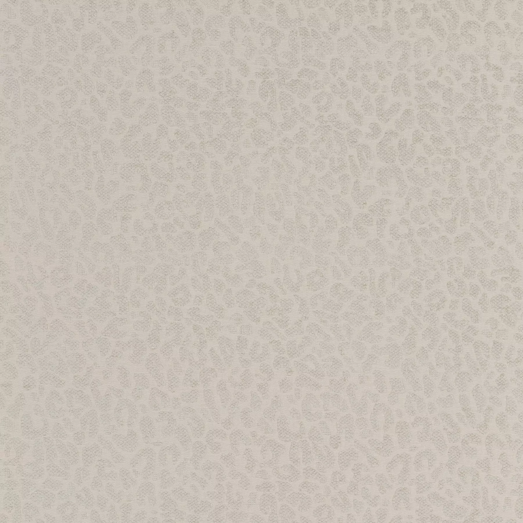 Cheetah - Ja2128/070