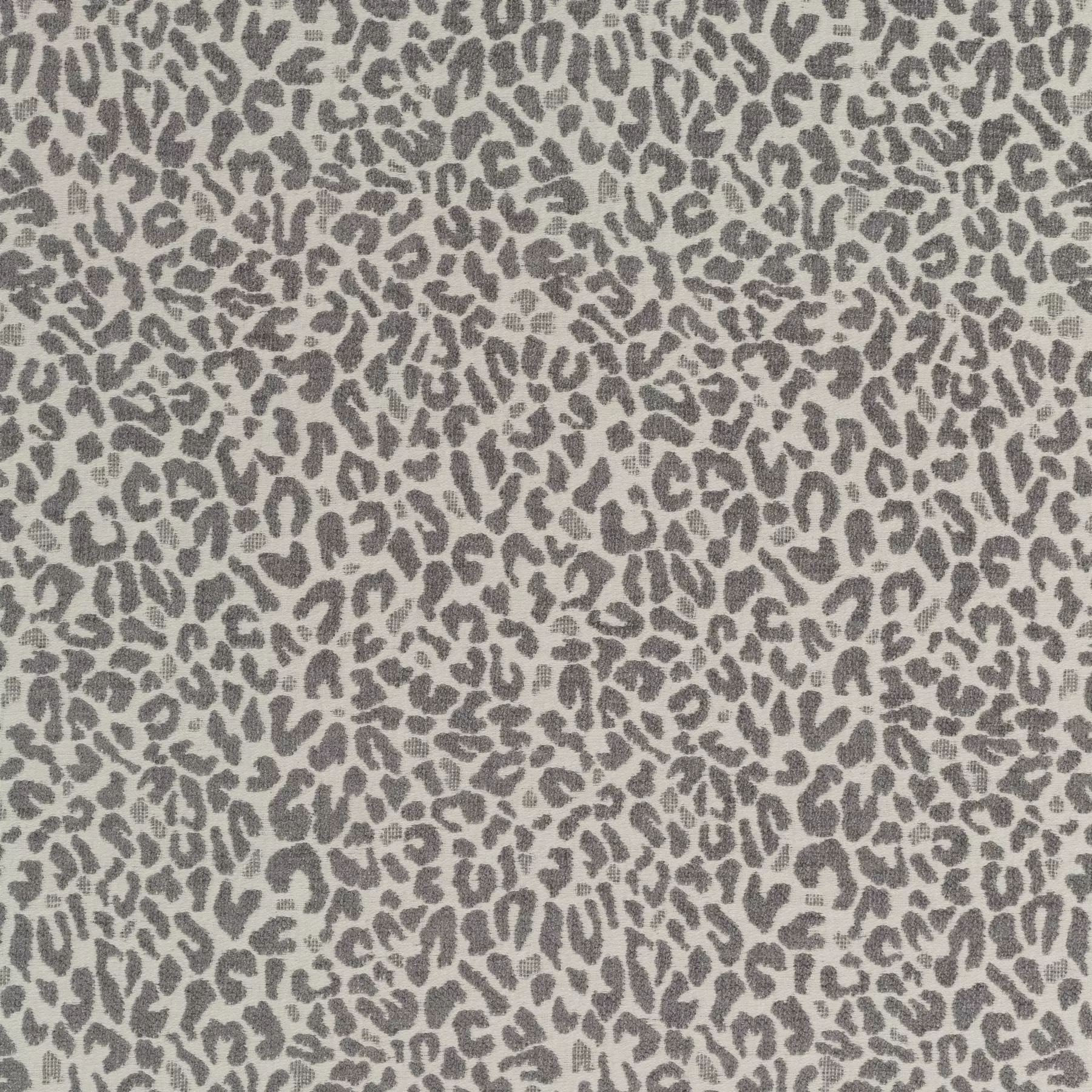 Cheetah - Ja2128/091