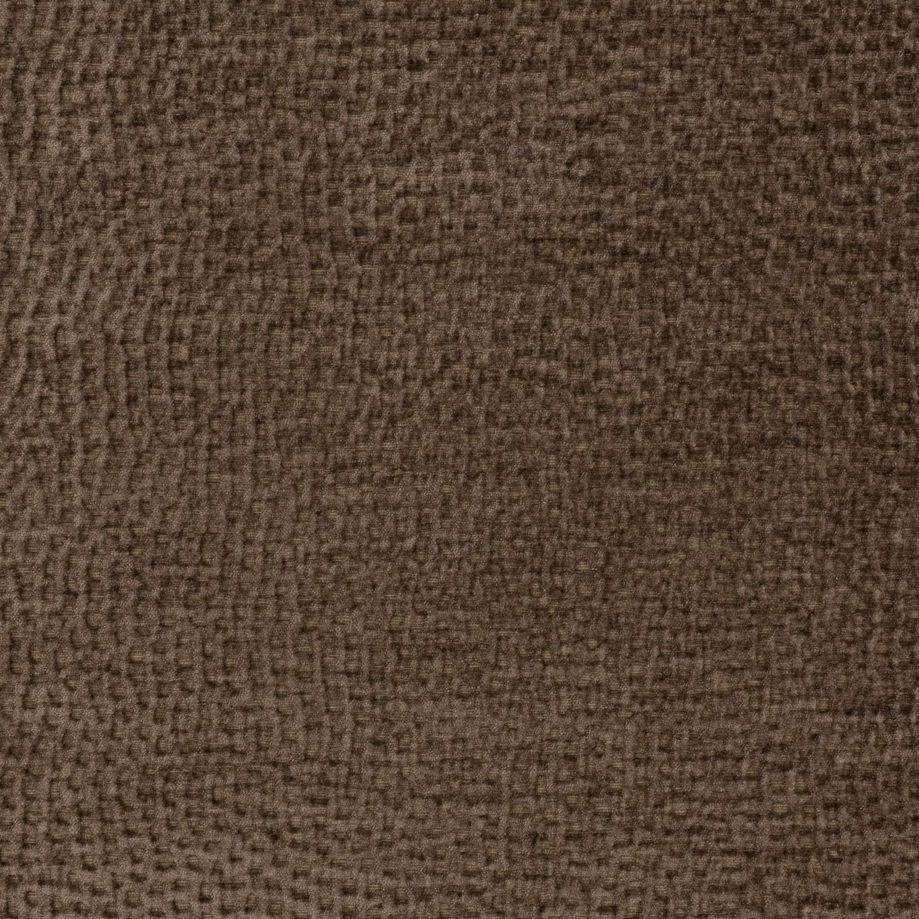 Crocodile - Ja1077/020